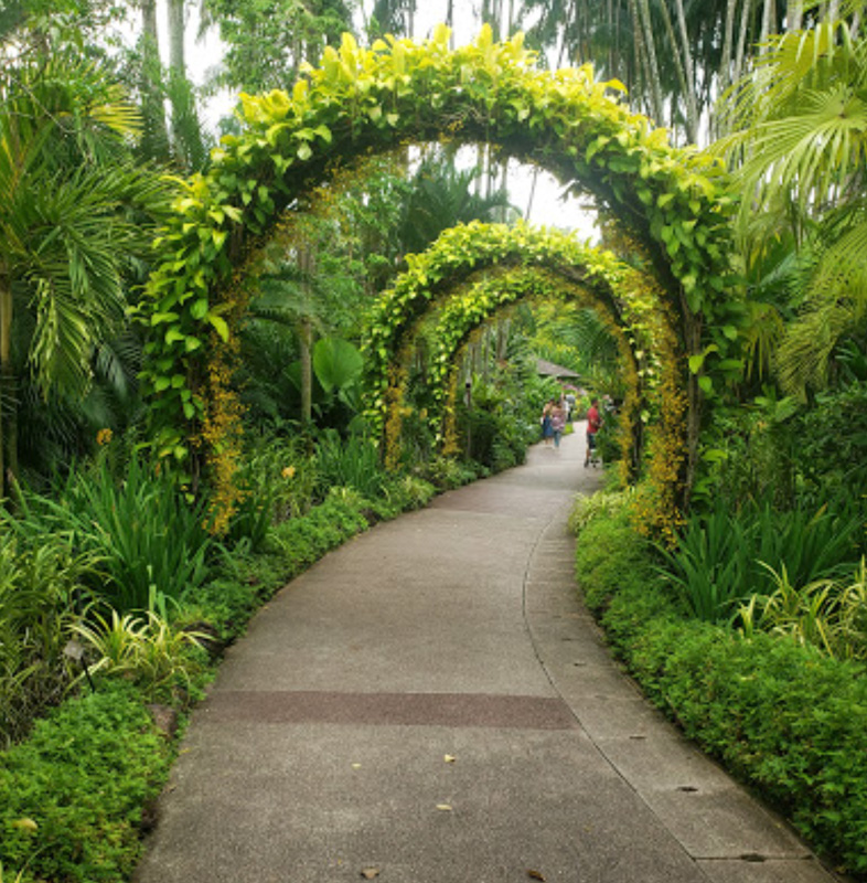 UNESCO World Heritage Site Singapore Botanic Gardens Green Pathway