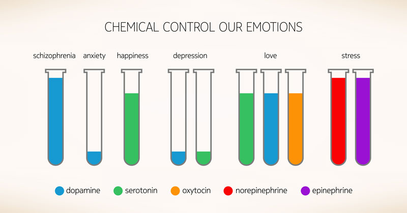 Illustrated Image Of Containers Each with 1 Element Dopamine Serotonin Oxytocin Norepinephrine Epinephrine