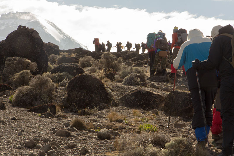 Line Of Backpackers Hiking Up Mount Kilimanjaro