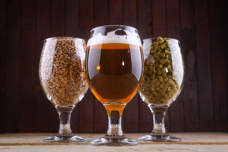 Glass of Hops Glass of Beer And Glass of Barley