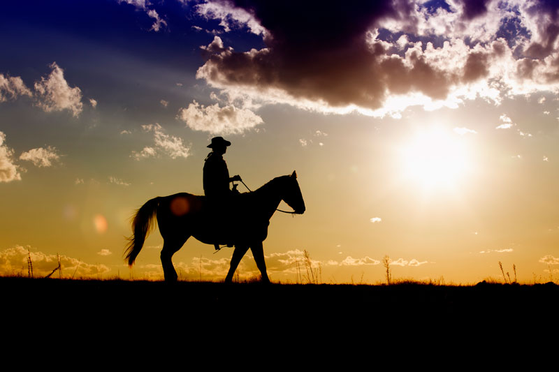 Silhouette Of Cowboy On Horseback At Sunset